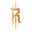 Raptor Coaching Pro logo